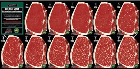 msa marbling angus australia