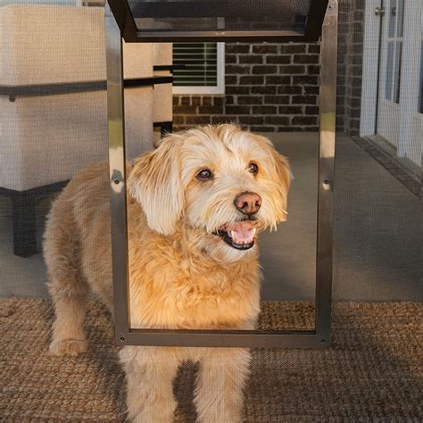Choosing Carlsbad Pet Screens For Your Home - North County Mobile Screen