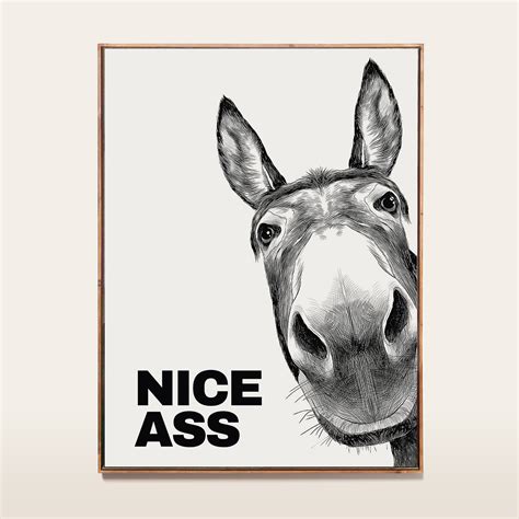 Donkey Nice Ass Bathroom Poster, Bathroom Funny Decor, Restroom