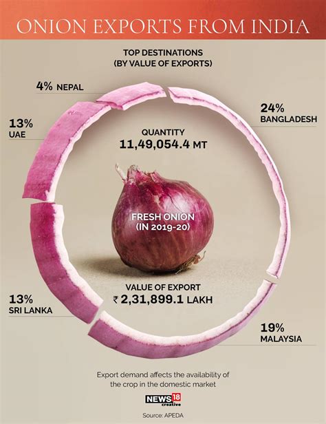Infographic | This is why onion prices rise every year in India