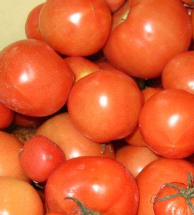 Помидоры с чесноком Полезный продукт | УСПЕХ с NEWAYS | Tomato ...
