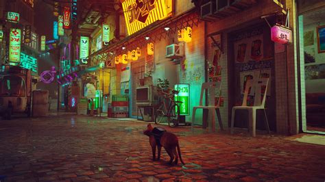 Stray Game Wallpapers - Top Free Stray Game Backgrounds - WallpaperAccess