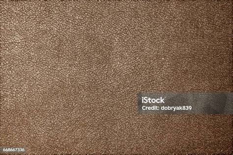 tekstur kulit kasar foto stok  gambar  efek bertekstur