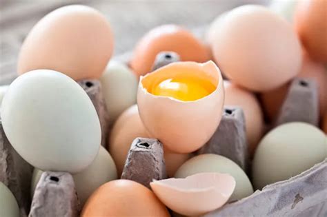 В Україні курячі яйця продаватимуть по-новому: що зміниться