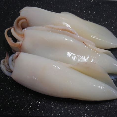Whole Cleaned Squid | Caudle's Catch Seafood