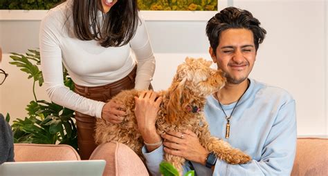 3 signs your puppy is teething