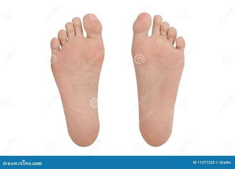 footprint stock photo image  print toes mark footed