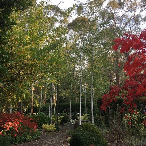 Maison de Moon - So stunning it should be hanging in the Louvre 🇫🇷