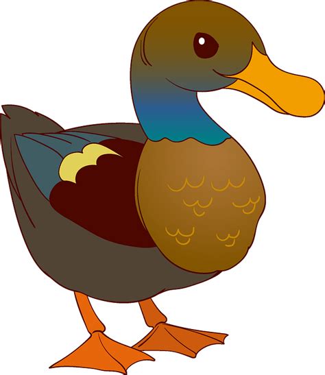 Duck Clipart