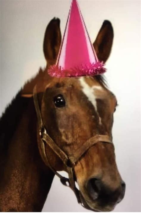 Happy Birthday Kerri Lynn - Canadian Road Horse Association