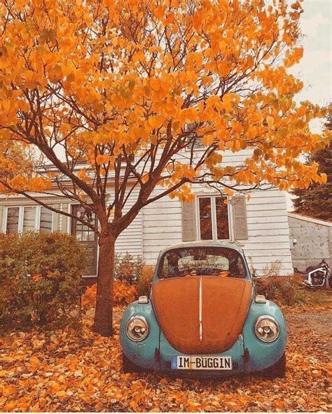 #autumn #orange #halloween #aesthetic #colours #fall #colorpalettes # ...