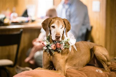 Locals love lake katherine nature center and botanic gardens palos heights 4