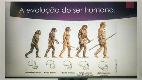 Quando Surgiu Os Primeiros Humanos - 6
