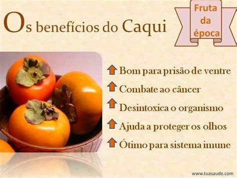 Qual Os Benefícios Do Caqui - 10