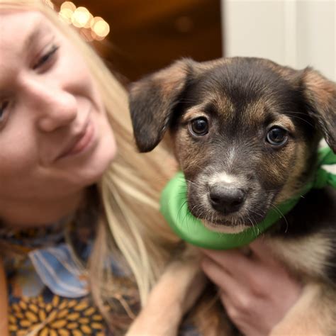 How Old Are Puppies When They Are Weaned
