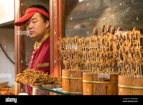 Skorpion Fleischspiess, Peking oder Beijing, Volksrepublik, China ...