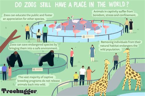 Are Zoos Ethical? Arguments for and Against Zoos