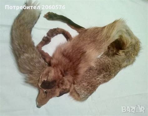 Кожа от лисица в Декорация за дома в гр. София - ID27511439 — Bazar.bg