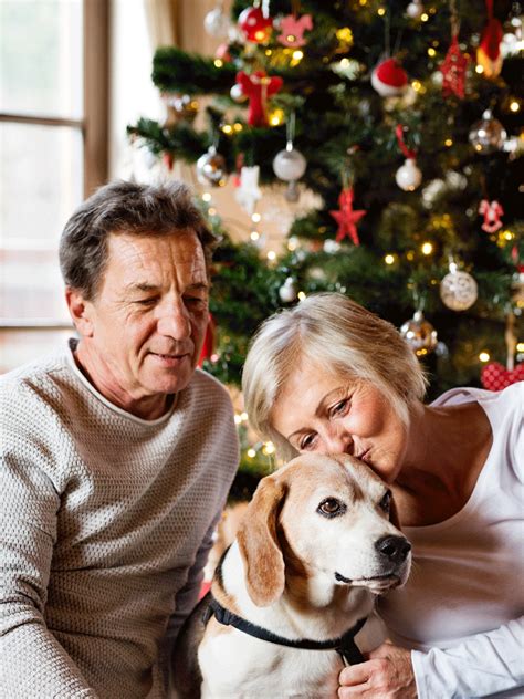 super senior citizens fd interest rates  fd interest rates super