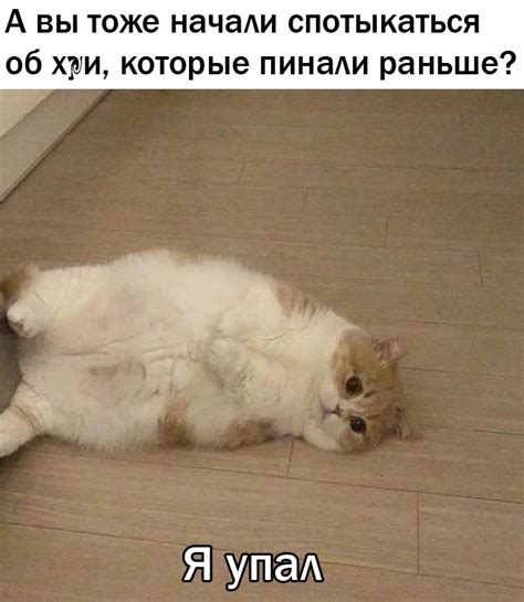 Упал, очнулся, прокрастинация | Пикабу