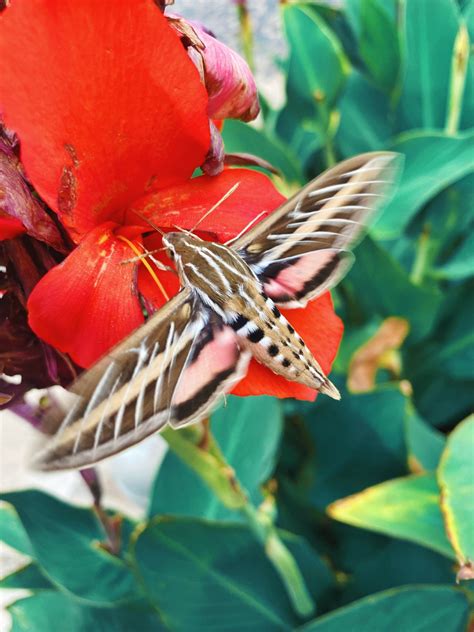 ellabear♔ on Tumblr