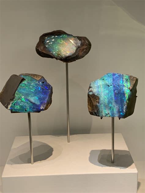 Amazing Opal natural history museum : MineralPorn