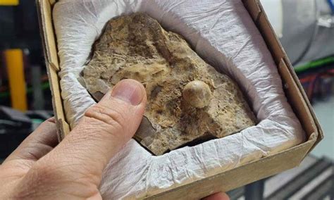 The 100 year old secret found in the dayton daily news 14