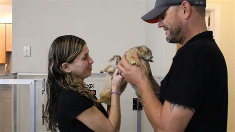 exotics animal hospital  dr ks exotic animal er national
