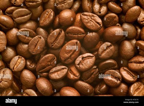Close-up photo of coffee beans Stock Photo - Alamy