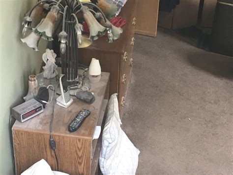 How long does it take to develop a bed bug infestation? - DIY Bed Bug