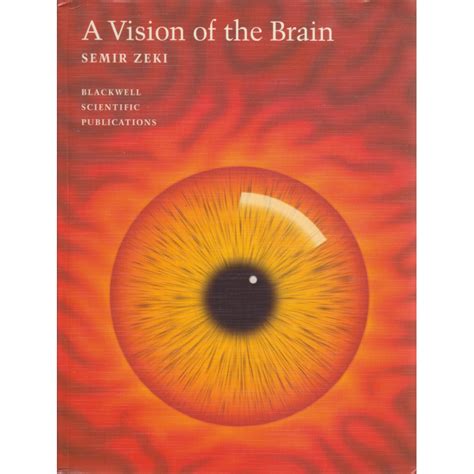 A vision of the brain