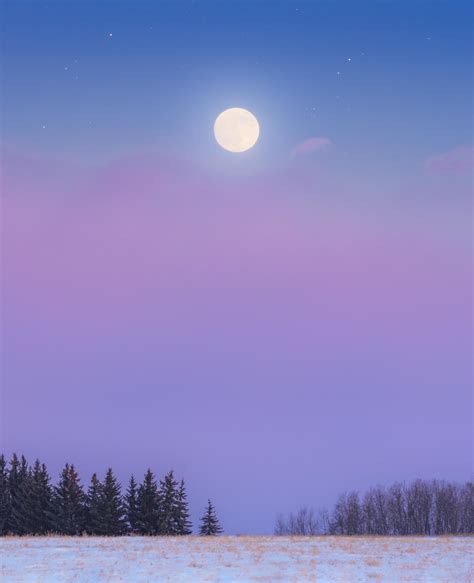 Some trees, a fog bank, and a full moon near Regina last month : r