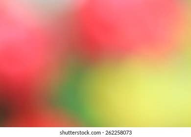 Blurred Flowers Background Stock Photo 262258073 | Shutterstock