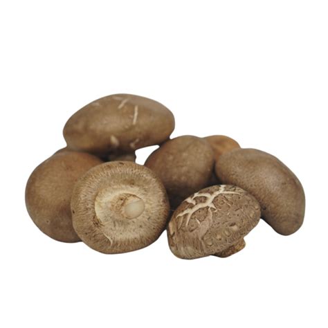 Jamur Shiitake - Sufarm