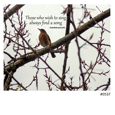 find  song digital poster  card lkarts