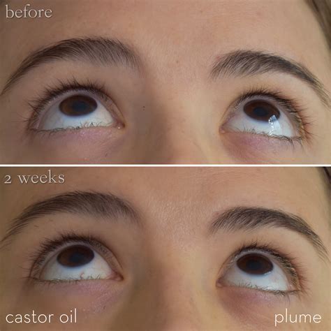 castor oil eyelashes side effects  indiana brownless blog