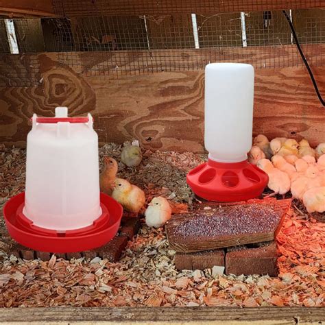 snapklikcom doublewood feeder waterer combo chicken chick poultry