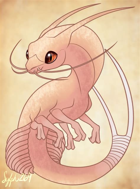 Tadpole Shrimp Dragon by Sylph264 on DeviantArt