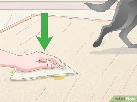 Reviving The Warmth: 5 Essential Steps To Clean Your Seagrass Rug
