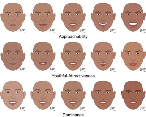 Graphic Shows What Facial Features People Find Attractive - Business ...