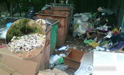 Окупований Крим потопає у смітті: шокуючі світлини (ФОТО) - Цинічний Львів