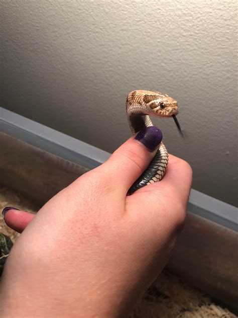 Holographic comedy sets will soon debut at the legendary wilbur theatre 17