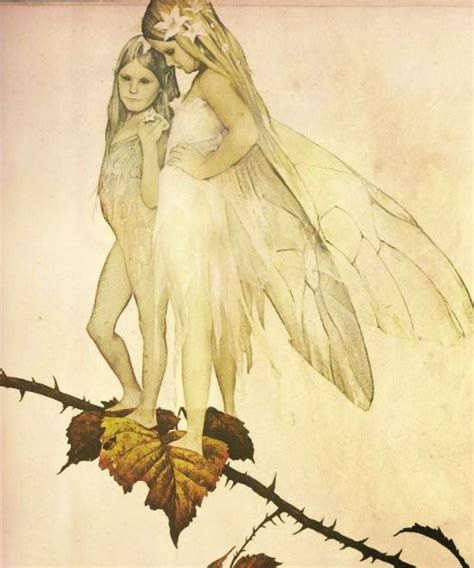 Brian Froud | Brian froud, Fairy art, Fairy art dolls