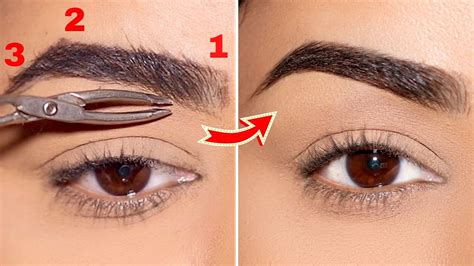 map  eyebrows  zelma harvey blog