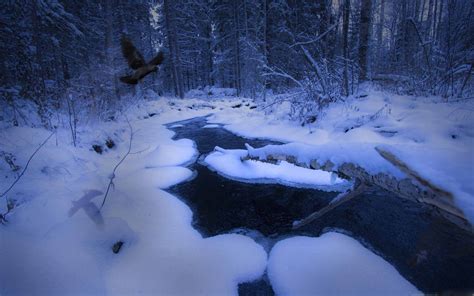 Freezing Stream Mac Wallpaper Download | AllMacWallpaper