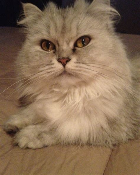 LIANNA GRETHEL (@liannagrethel) • Instagram photos and videos