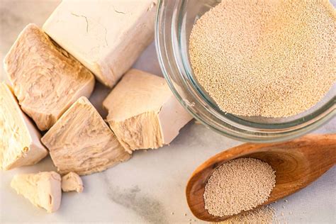 types  yeast