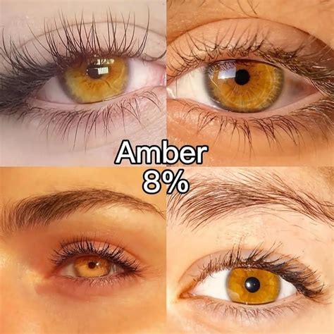 pin  milla gomes  olhos espelhos da alma   beautiful eyes