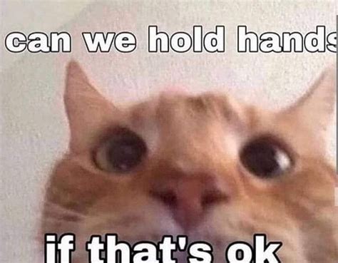pibbleton  gumpygoos  date cute love memes silly cats