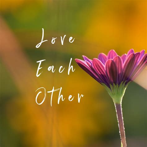 love   cortisolmusings